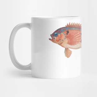 Sea perch, by Frank Edward Clarke Mug